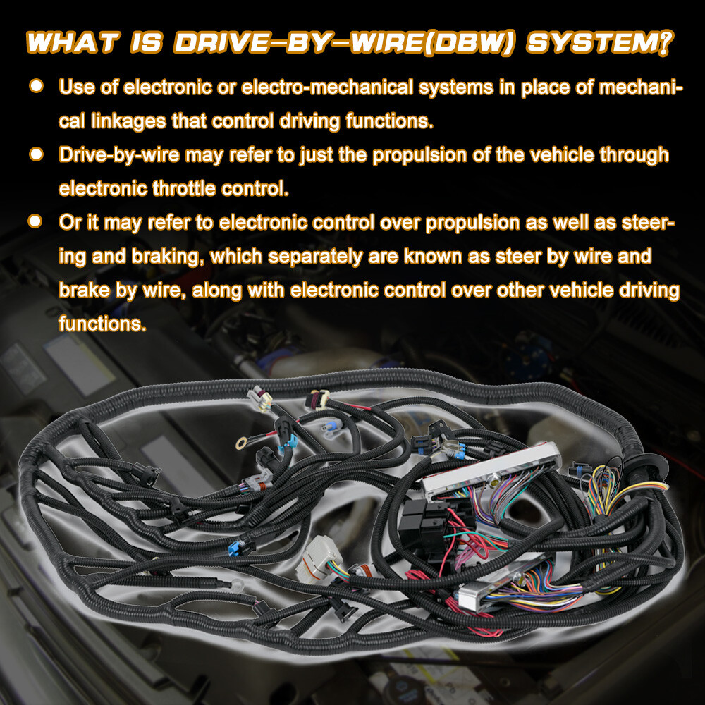 LS Swap Stand Alone Wiring Harness DBW 700R4 2004R Powerglide TH350