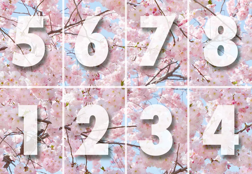 CHERRY BLOSSOM Wallpaper 144x100" Removable Wall Pink Japanese Flower Spring DIY - Image 4 of 4