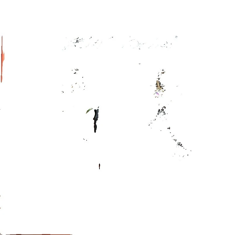 Pendientes de Moda Betsey Johnson hueso