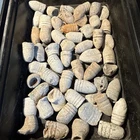 Dug Civil War 💥 🇺🇸 💣 Pile Of Assorted Bullets Lot 1861
