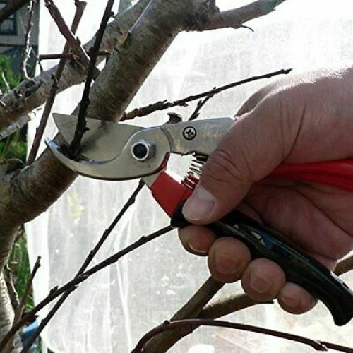 ARS Corporation HP-VS8R Hand Pruner - Thumbnail 4