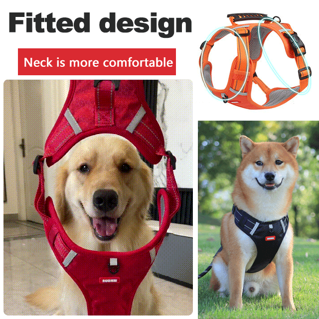 No pull dog harness for pets