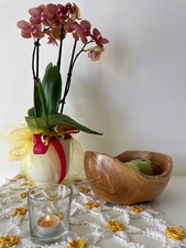 CI06 Ciotola  In Legno Di Ulivo Bordo Vivo Centrotavola Scodella ø 23.5 cm