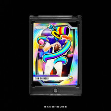 1/1 SAM DARNOLD 🔥 TUCAN SAM SILVER PRIZM SSP 🔥 NEW PENINI: ONE OF ONE ART