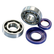 Kit Revisione Albero Motore Cono 20 Cuscinetti Paraoli Polini Vespa 50 PK S XL