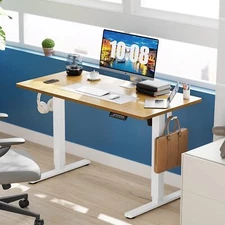 Natural 55" Modern Height Adjustable Electric Standing Desk Home Office Table