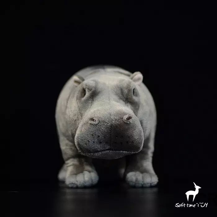 Foto 4 di 10