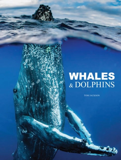 Whales & Dolphins by Tom Jackson (Hardback Book)