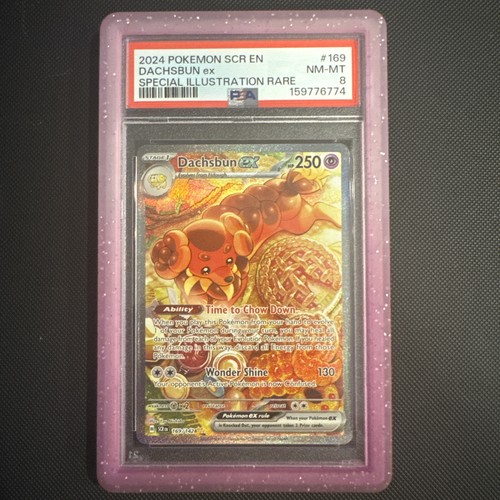 Dachsbun ex graded PSA 8 for sale on eBay