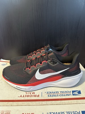 Nike Air Zoom Pegasus 41  display picture 1