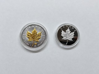 2022 Canada Craft Lucky Gift Coin Maple Leaf 40/30 mm Bug Coin Set #1019