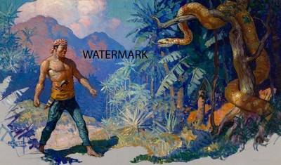 Newell Convers Wyeth - Pirate Fights Snake Jungle  1920 - 17x28 PRINT REPRO