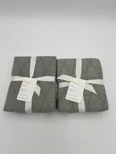 POTTERY BARN COCOON VOILE QUILTED PILLOW SHAM, EURO ~ EUCALYPTUS