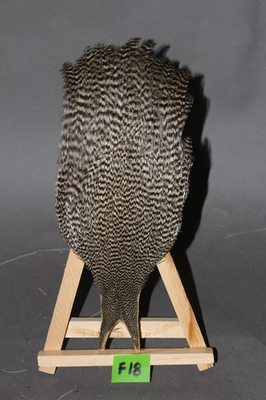 #ad American Genetic Grizzly Cape #3 for Fly Tying Great Quality amp; Price CHOICE $25.00