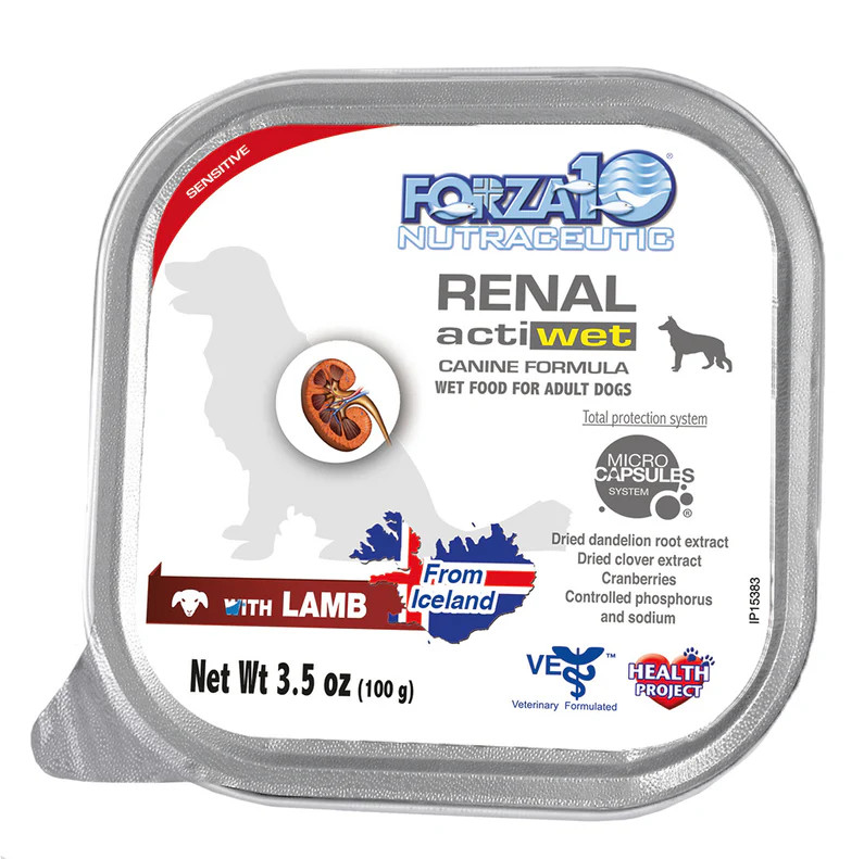 - Salmon & Lamb - 32 Pack