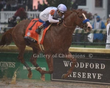 Justify 2018 Kentucky Derby Finish Photo 8" x 10 - 24" x 30" 