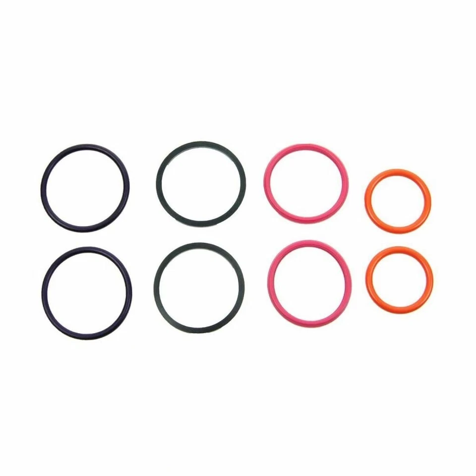 Juego completo de juntas tóricas de inyector de combustible Dorman para Ford Serie F Excursion 7,3 L diésel Foto 3 de 4