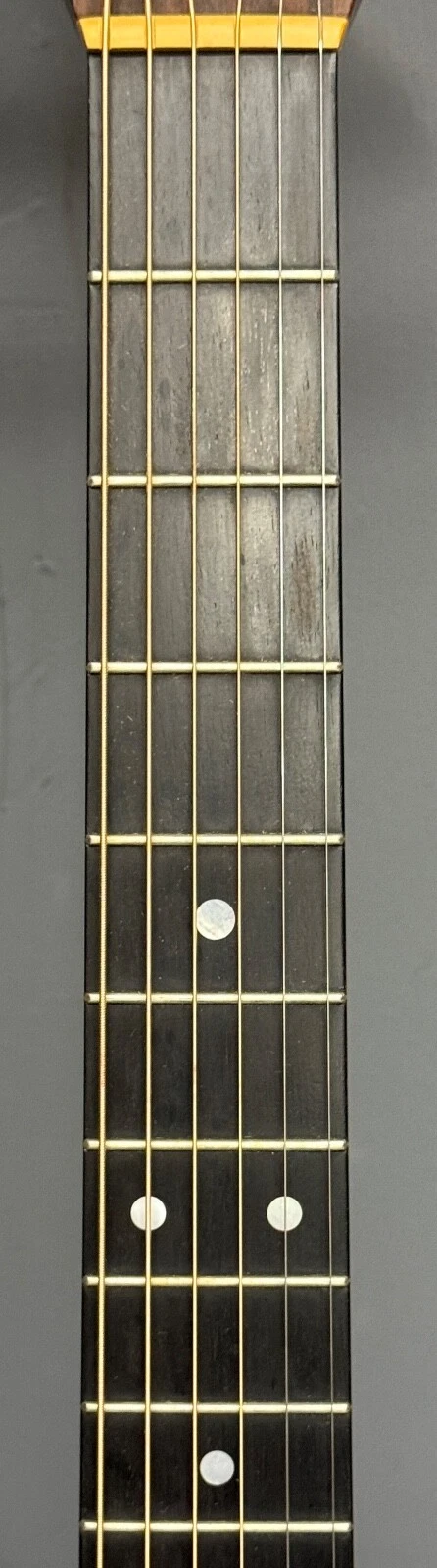 Picture 12 of 24