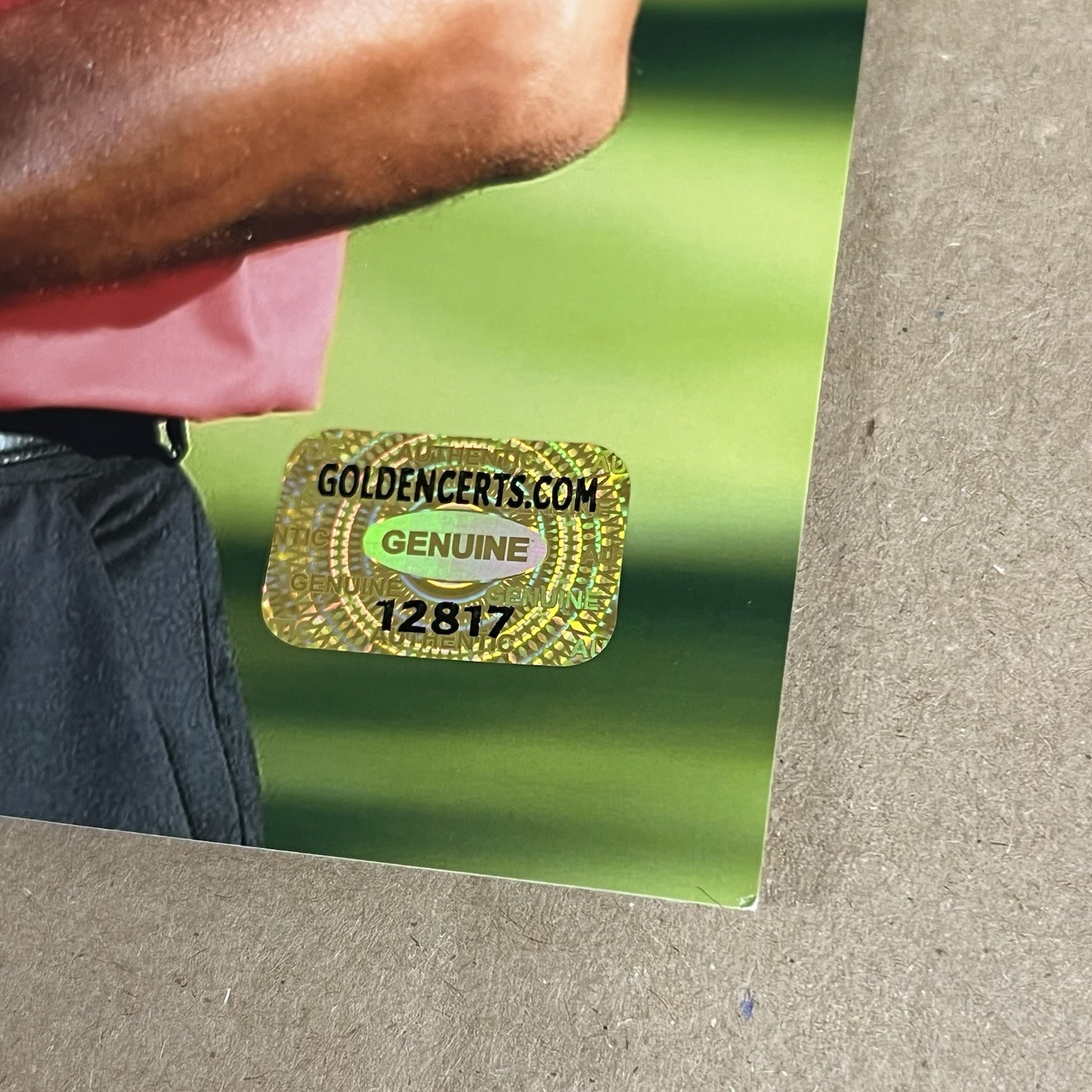 Tiger Woods Autographed Signed 8x10  Photograph w/COA