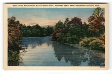 Post Card - -LITTLE RIVER ON THE WAY TO CADES COVE, Smokeys'