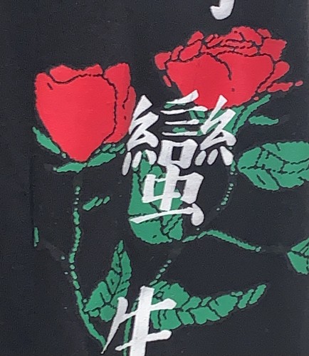Fresh Laundry Adult "Old Growth" Skeleton & Rose Graphic Long Sleeve Shirt (2XL) - Picture 10 of 24
