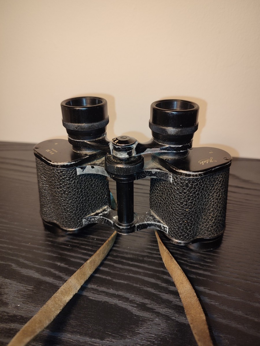 1950' CLEAN OPTICS! Nice picture! Swarovski Habicht 8X30 wide