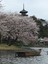 ybay-nippon