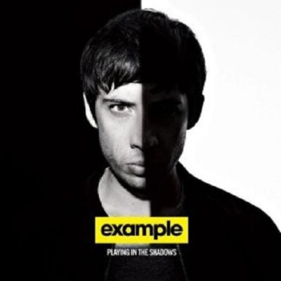 EXAMPLE - PLAYING IN THE SHADOWS CD NEU