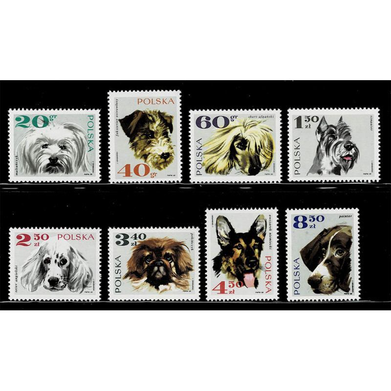 FR5189 - 1969 Polonia serie tematica Cani MNH/**