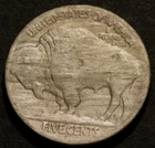 1920 S Buffalo Nickel Semi-Key Date Horn Details Holo-Restored Five 5c Coin C989