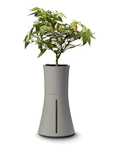  Hydroponic and Automatic Indoor Gardening Pot, Grey Ash Grey