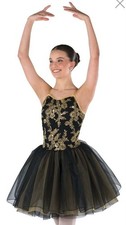 Girls Laylas Dance Ballet Costume,Size LC/ Large Child, Includes Hair Applique