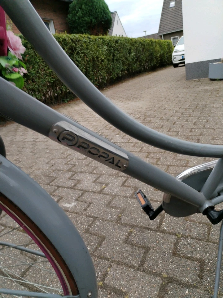 Popal Daily Dutch Basic 26 Zoll - 46 cm Hollandrad für Mädchen gebraucht - Bild 3 von 4