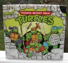 Vintage 1993 Teenage Mutant Ninja Turtles Shoebox - Box Only