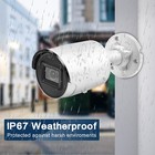 Foto 12 di 12
