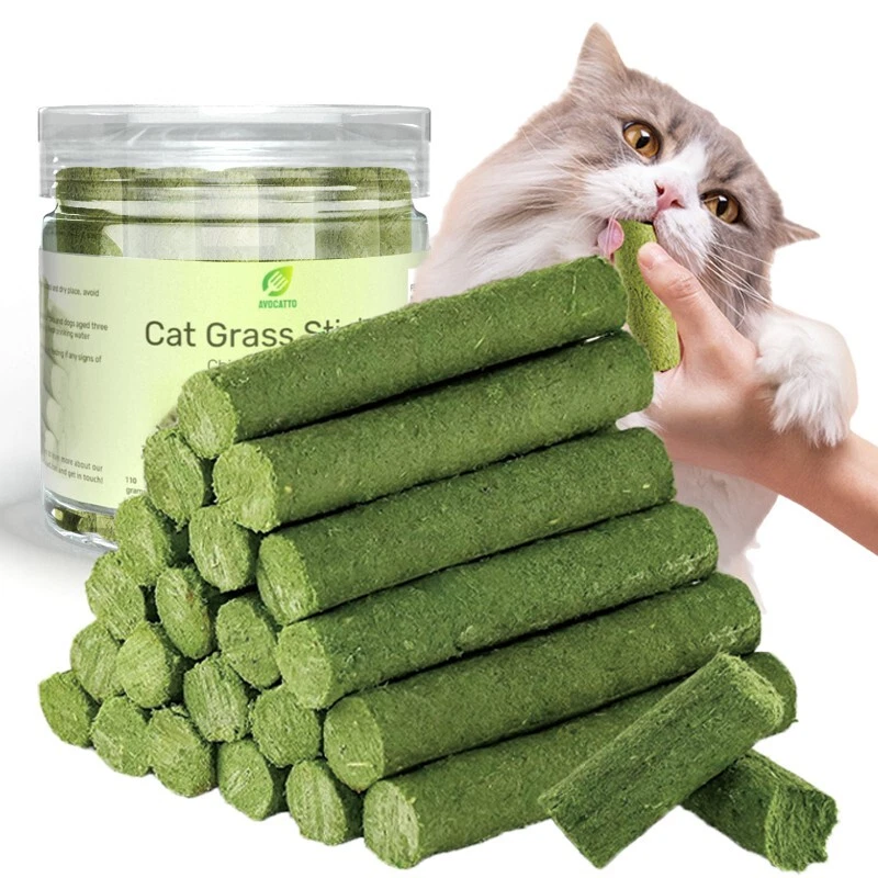 Cat Grass Teething Stick for Cats, Natural Freeze Dried Dental Treats - Image 4 of 4