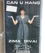 ZIMA DIVAI SEALED TAPE CAN YOU HANG SOUL CASSETTE FUNK MODERN R&B PRIVATE lp 45