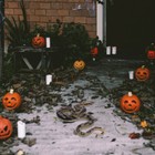 Foto 8 di 12