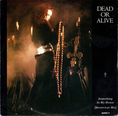 Dead Or Alive - Something In My House (Mortevicar Mix) (VINYL)