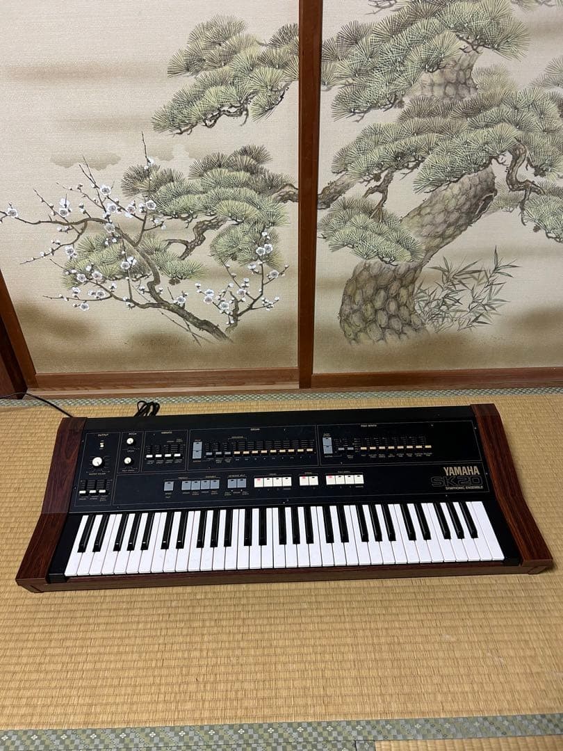 YAMAHA SK20 Analog Synthesizer Organ Vintage Keyboard | eBay