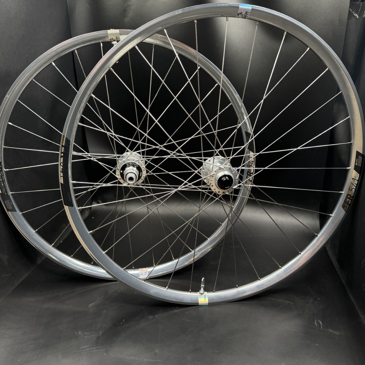 Custom Silver Dt 541 rims with Hope pro 5 hubs | eBay