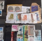 Foto 12 di 12