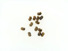 Vintage M. Haskell Aged Brass Solid Twist Curve Perfection Spacer Bead Lot