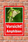 Bild 5 von 5