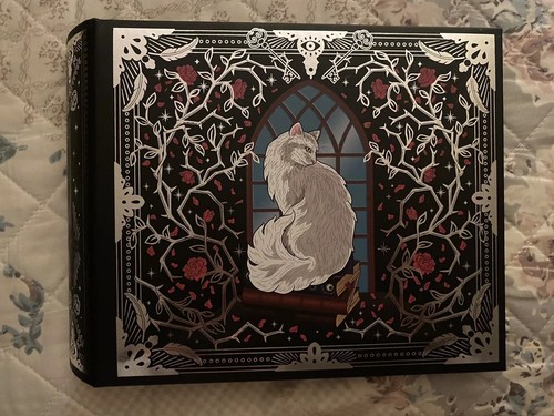 Fairyloot Lesezeichen Album Oktober 2024 Exclusive Sorcery of Thorns