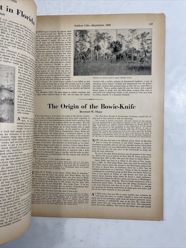 Outdoor Life: September, 1925, Cover Art by Osborne Mayer, Vol. 56, No. 3 - Picture 8 of 9
