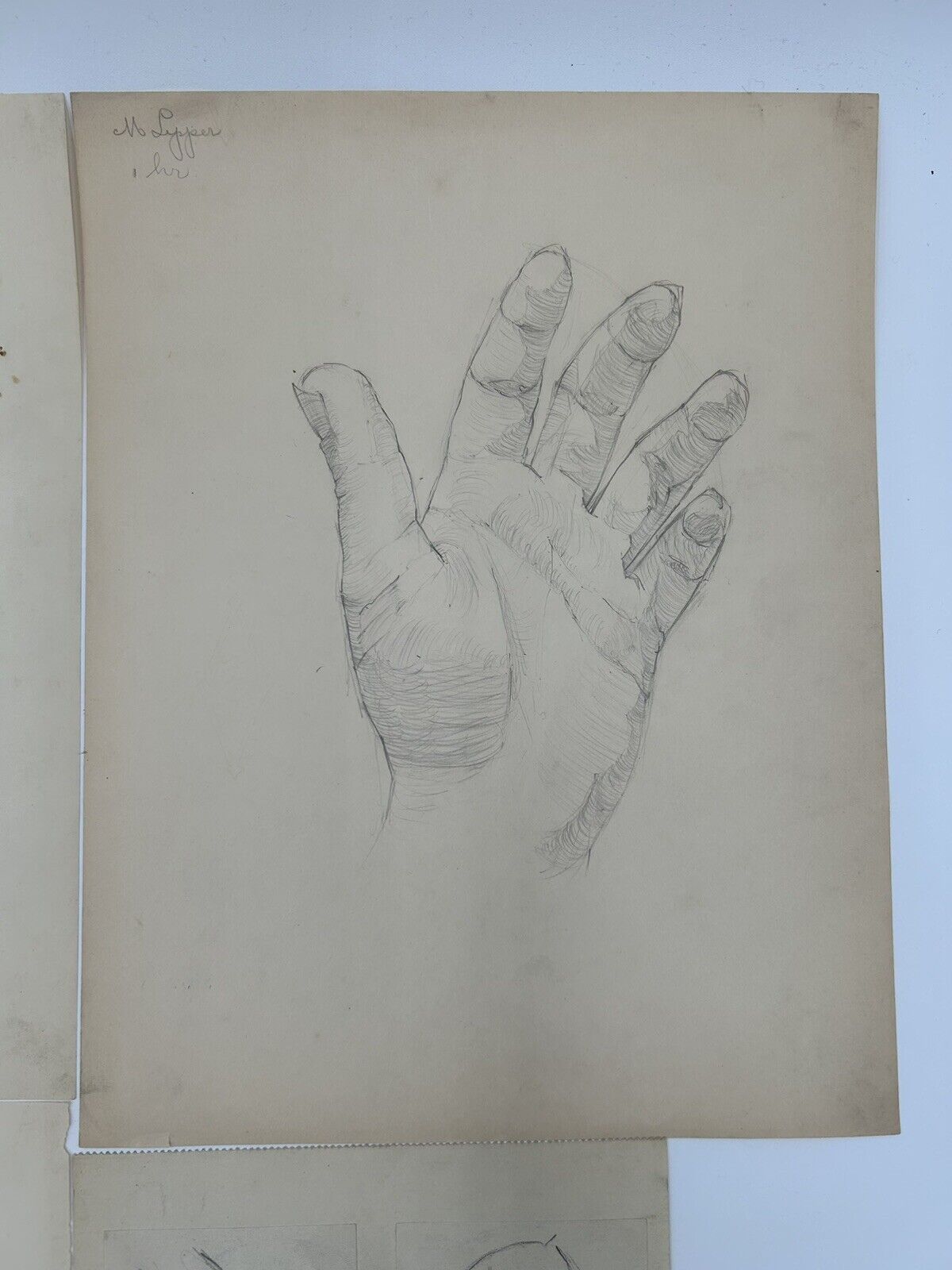 Picture 3 of 21