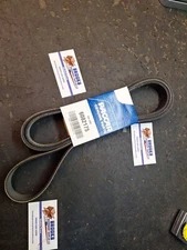 Paccar genuine Belt D84-1000-6082175