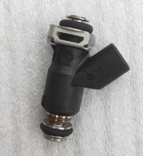 RPS Hawk 250 DLX Fuel Injector for EFI Models. X-Pro