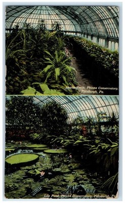 c1910 Multiview, Phipps Conservatory Pittsburgh Pennsylvania PA Postcard
